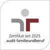 audit-2025-de